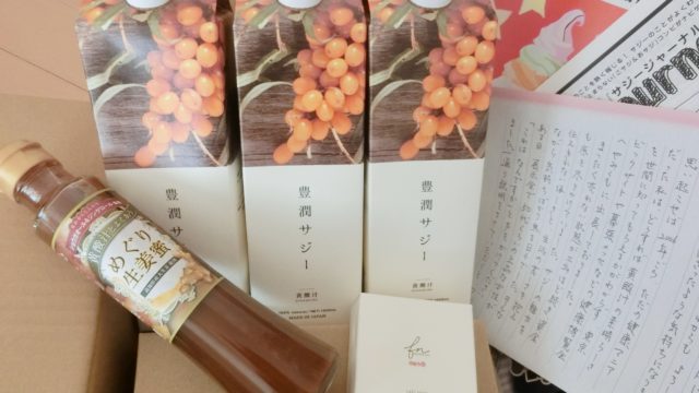 黄酸汁 豊潤サジー定期